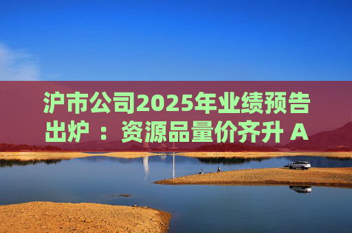 沪市公司2025年业绩预告出炉 ：资源品量价齐升 AI链景气延续