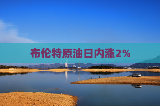 布伦特原油日内涨2%