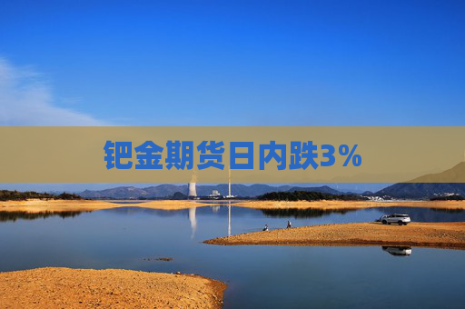 钯金期货日内跌3%