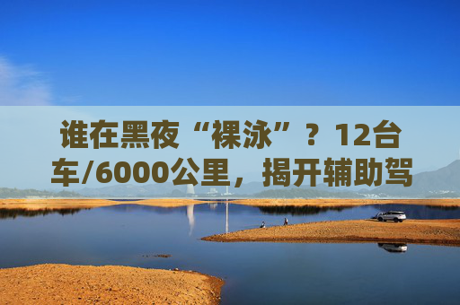 谁在黑夜“裸泳”？12台车/6000公里，揭开辅助驾驶的夜盲真相