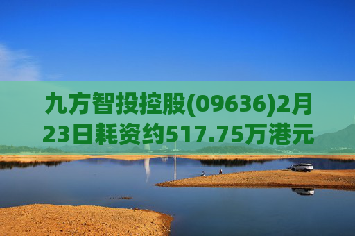九方智投控股(09636)2月23日耗资约517.75万港元回购13.3万股  第1张