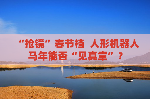 “抢镜”春节档  人形机器人马年能否“见真章”？ 第1张