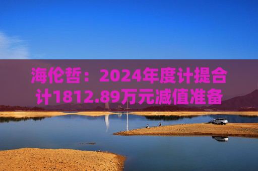 海伦哲：2024年度计提合计1812.89万元减值准备