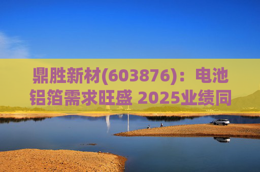 鼎胜新材(603876)：电池铝箔需求旺盛 2025业绩同比高增