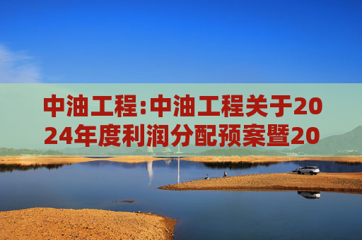 中油工程:中油工程关于2024年度利润分配预案暨2025年中期现金分红有关事项授权的公告