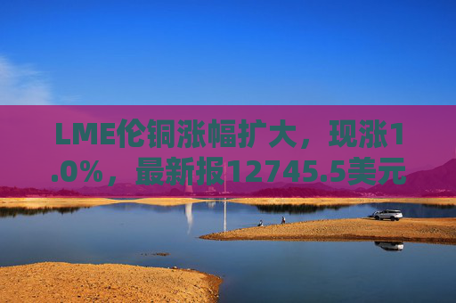 LME伦铜涨幅扩大，现涨1.0%，最新报12745.5美元/吨