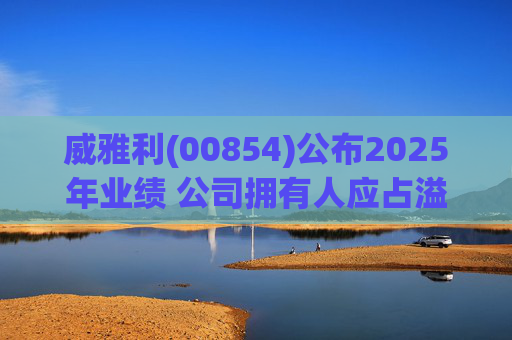 威雅利(00854)公布2025年业绩 公司拥有人应占溢利5095.8万港元