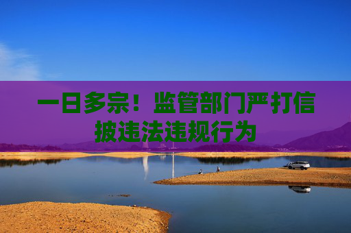 一日多宗!监管部门严打信披违法违规行为 第1张 一日多宗!监管部门严打信披违法违规行为 第1张