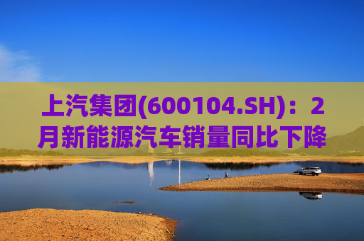 上汽集团(600104.SH)：2月新能源汽车销量同比下降17.18%