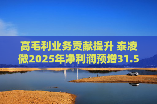 高毛利业务贡献提升 泰凌微2025年净利润预增31.53%