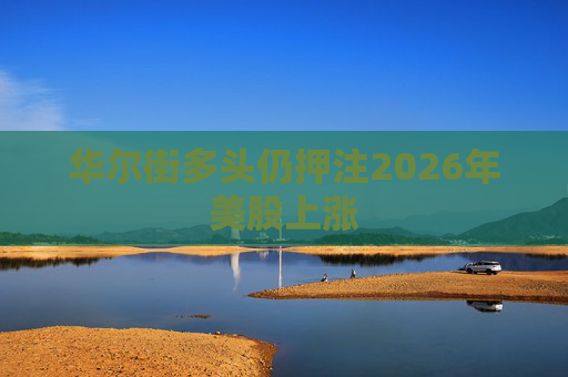 华尔街多头仍押注2026年美股上涨
