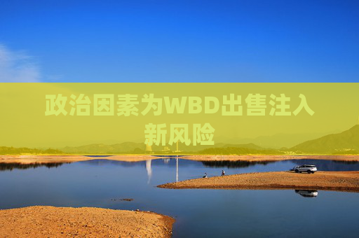 政治因素为WBD出售注入新风险