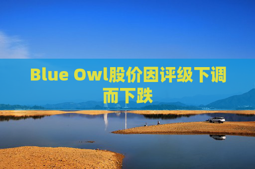 Blue Owl股价因评级下调而下跌