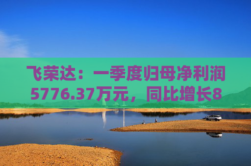 飞荣达：一季度归母净利润5776.37万元，同比增长85.57%  第1张