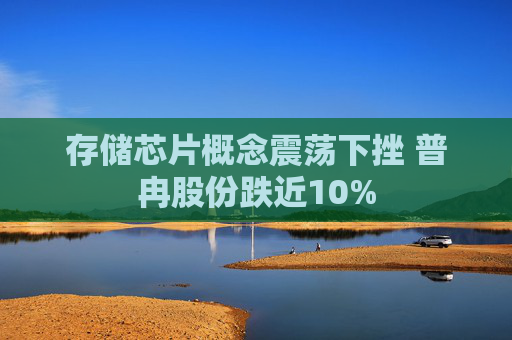存储芯片概念震荡下挫 普冉股份跌近10%