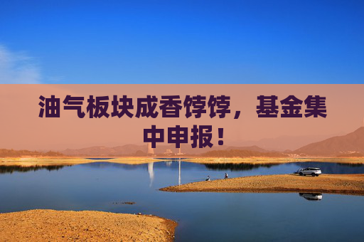 油气板块成香饽饽，基金集中申报！