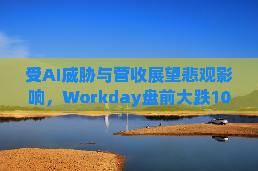受AI威胁与营收展望悲观影响，Workday盘前大跌10%