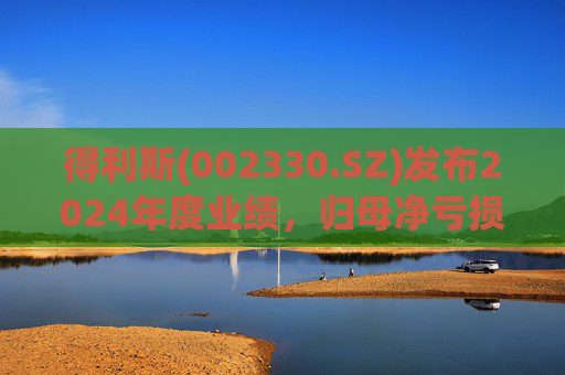 得利斯(002330.SZ)发布2024年度业绩，归母净亏损3367万元