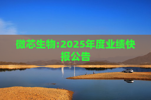 微芯生物:2025年度业绩快报公告