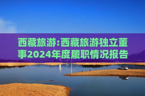 西藏旅游:西藏旅游独立董事2024年度履职情况报告（高金波）
