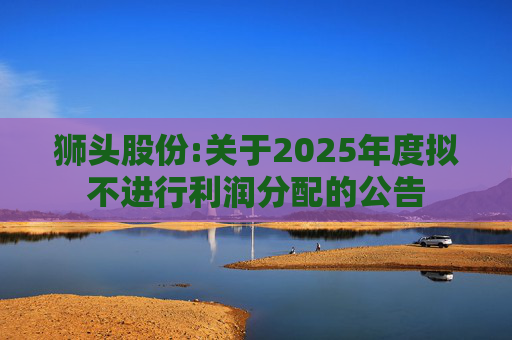 狮头股份:关于2025年度拟不进行利润分配的公告