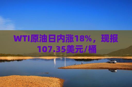 WTI原油日内涨18%，现报107.35美元/桶