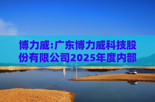 博力威:广东博力威科技股份有限公司2025年度内部控制评价报告  第1张
