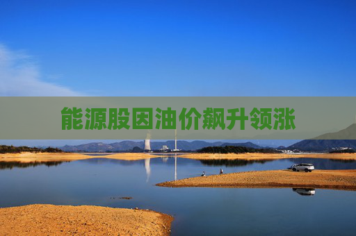 能源股因油价飙升领涨
