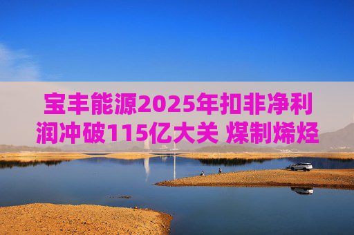 宝丰能源2025年扣非净利润冲破115亿大关 煤制烯烃龙头迎高光时刻
