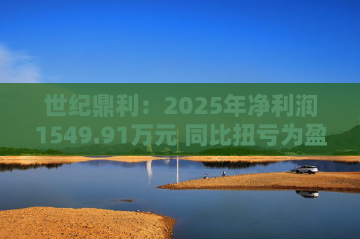 世纪鼎利：2025年净利润1549.91万元 同比扭亏为盈  第1张