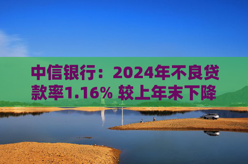 中信银行：2024年不良贷款率1.16% 较上年末下降0.02个百分点  第1张