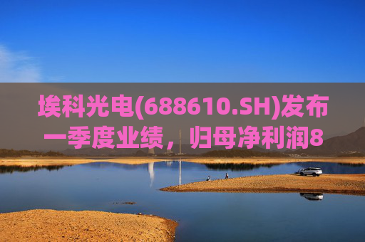 埃科光电(688610.SH)发布一季度业绩，归母净利润862万元，同比下降5.94%