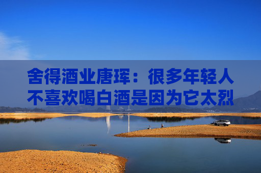 舍得酒业唐珲：很多年轻人不喜欢喝白酒是因为它太烈了，舍得把白酒做到29度仍然有白酒的味道