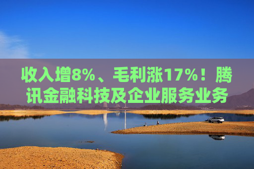 收入增8%、毛利涨17%！腾讯金融科技及企业服务业务稳健增长  第1张