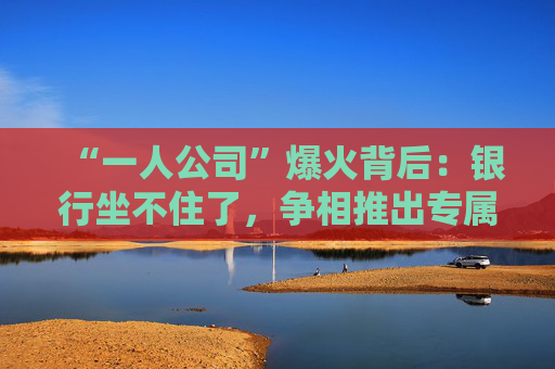 “一人公司”爆火背后：银行坐不住了，争相推出专属金融方案