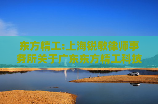 东方精工:上海锐敏律师事务所关于广东东方精工科技股份有限公司重大资产重组前业绩异常或本次重组存在拟置出资产情形之专项核查意见  第1张