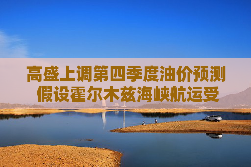 高盛上调第四季度油价预测 假设霍尔木兹海峡航运受阻会持续更久