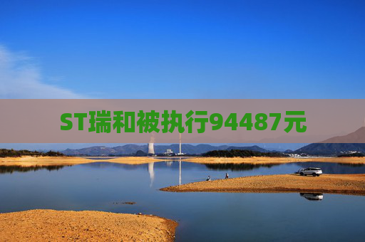 ST瑞和被执行94487元  第1张