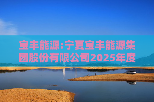 宝丰能源:宁夏宝丰能源集团股份有限公司2025年度独立董事述职报告（孙积禄）  第1张