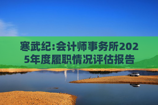 寒武纪:会计师事务所2025年度履职情况评估报告