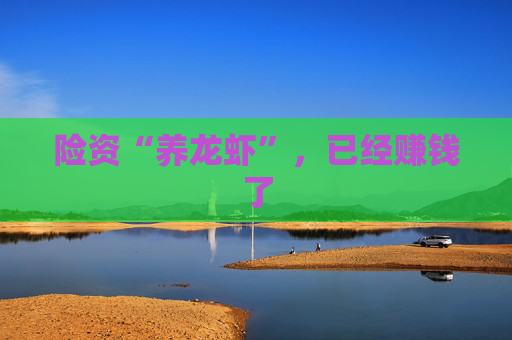 险资“养龙虾”，已经赚钱了