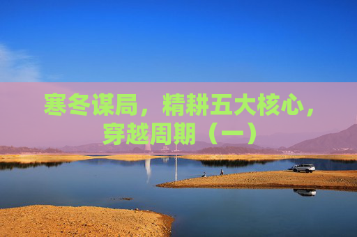 寒冬谋局，精耕五大核心，穿越周期（一）