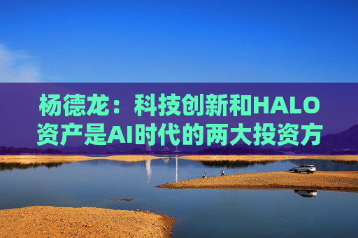 杨德龙：科技创新和HALO资产是AI时代的两大投资方向  第1张