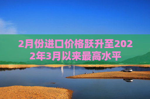 2月份进口价格跃升至2022年3月以来最高水平  第1张