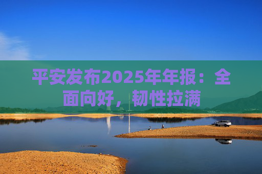 平安发布2025年年报：全面向好，韧性拉满