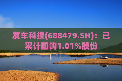 友车科技(688479.SH)：已累计回购1.01%股份