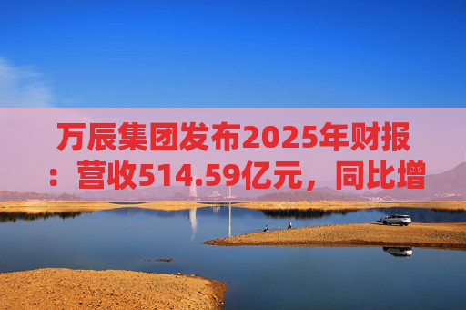 万辰集团发布2025年财报：营收514.59亿元，同比增长59.17%