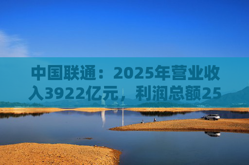 中国联通：2025年营业收入3922亿元，利润总额253亿元  第1张