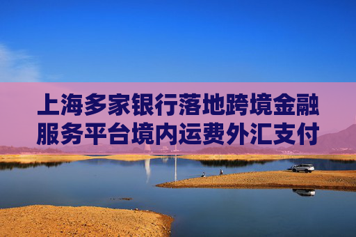 上海多家银行落地跨境金融服务平台境内运费外汇支付便利化业务