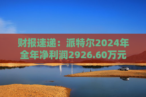 财报速递：派特尔2024年全年净利润2926.60万元